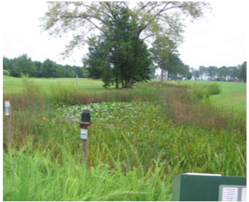 Figure 11. Wetland area with a thick border.